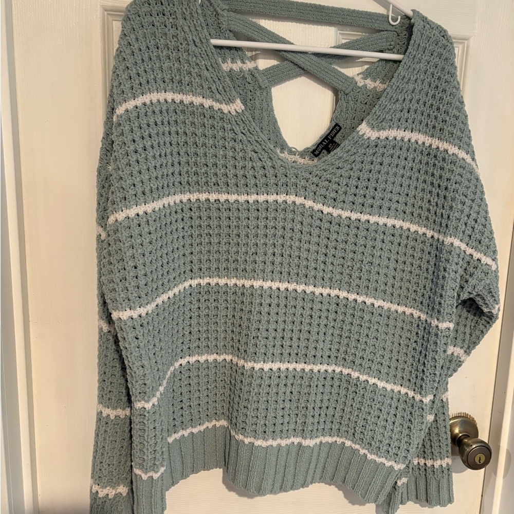 Moral Fiber Sage and White V-Neck Sweater